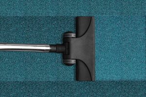 professional carpet cleaning services in Lawrence